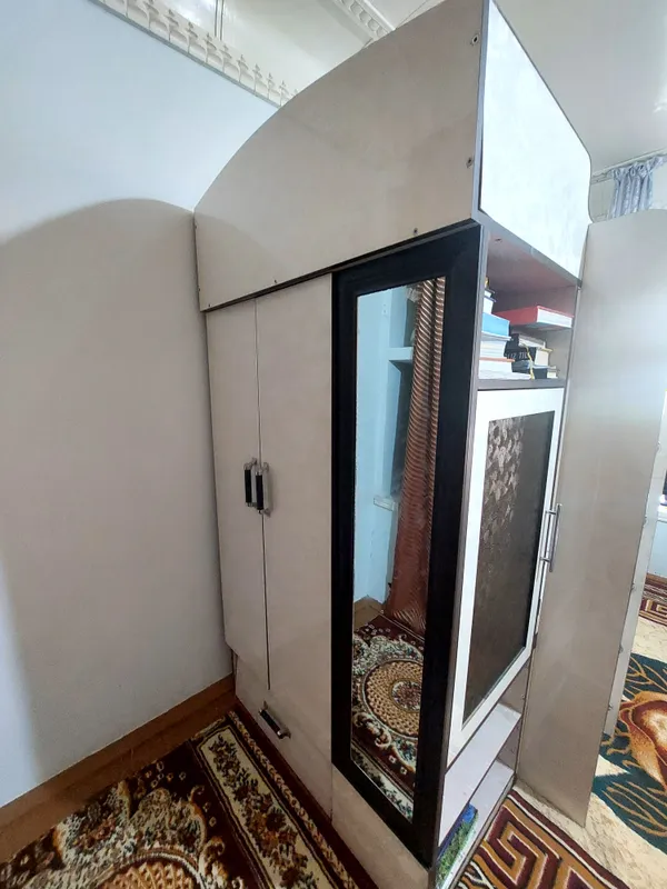 kravat ikkatsi birda 3