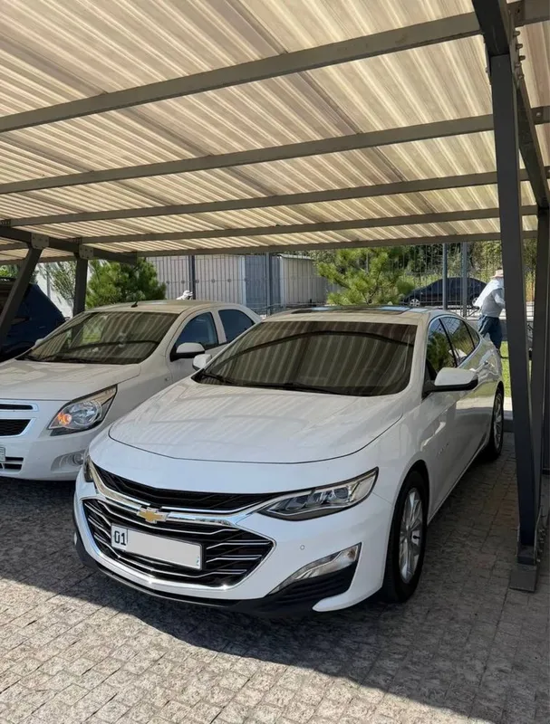 Malibu Premier srochna 1 Malibu Premier srochna 1