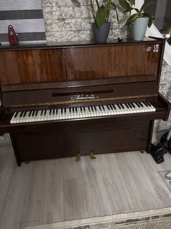 Fartepaynomuzik4030