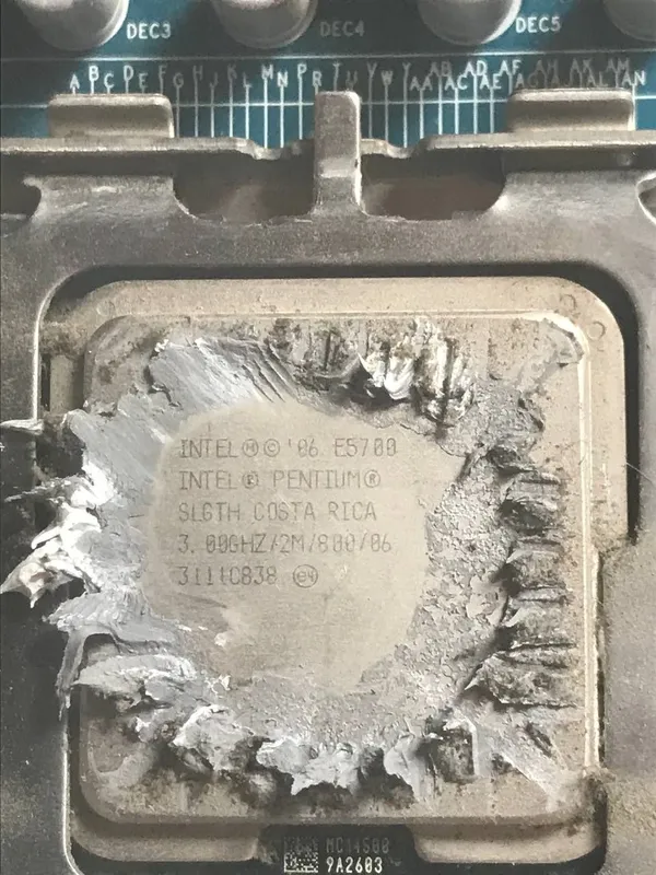 Plata xolati yaxdhi
