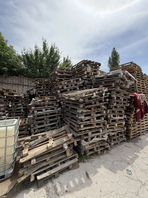 Otin bor chorniga lombozga paddon sotiladi