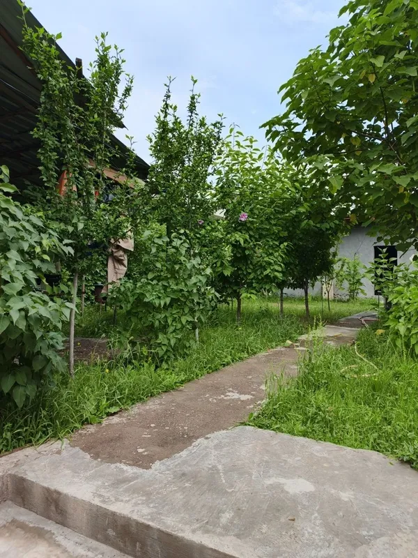 СВОЯ! СРОЧНО ПРОДАЁТСЯ УЮТНАЯ ДАЧА В Далаховли недалеко от Янги Узбеки — фото 6
