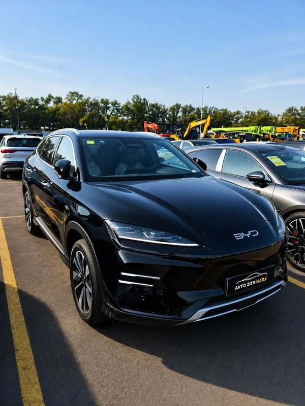 Byd chempion Smart Srochna