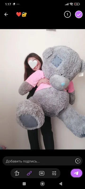 Teddy sotiladi 1