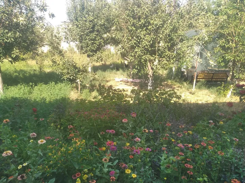 Hamma sharoitlari mavjud yer maydoni 6 sotix — фото 2