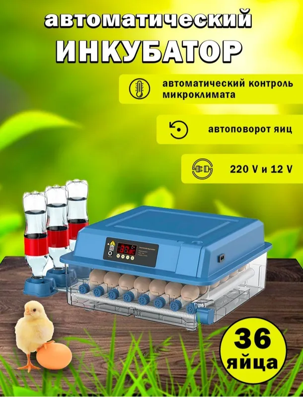 Инкубатор Инкубатор