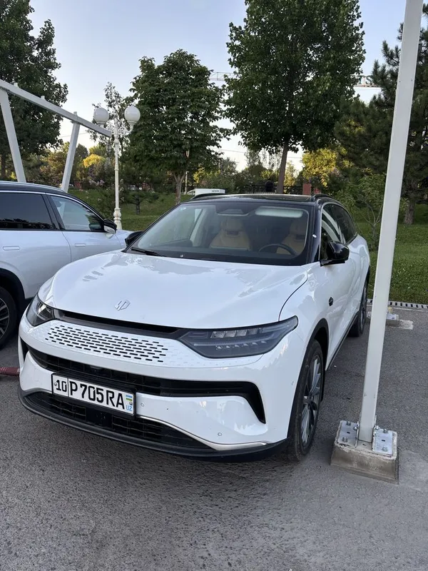 Leapmotor C11 Hybrid 1 Leapmotor C11 Hybrid 1