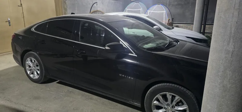 Srochni Malibu premier sotiladi 2