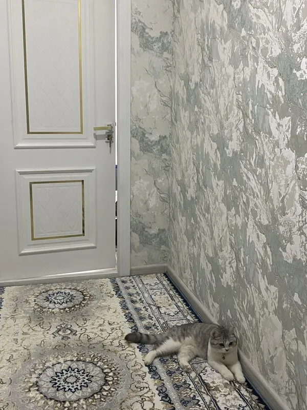 мушук сотилади срочно 1