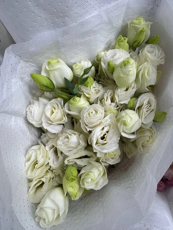 Матиолла в наличии! — фото 5
