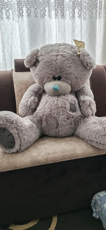 teddiy ayiq 2