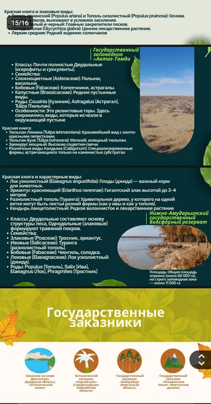《Презентация》canva, PowerPoint word, pdf сделаю — фото 8 《Презентация》canva, PowerPoint word, pdf сделаю — фото 8