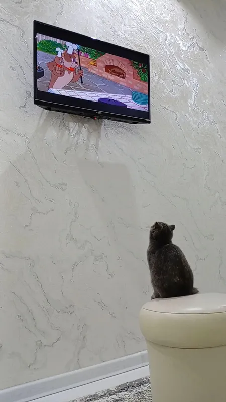 Britan 7 oylik 2 Britan 7 oylik 2