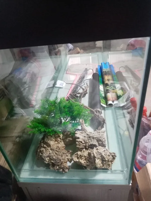 Akvarium sotiladi 2 Akvarium sotiladi 2
