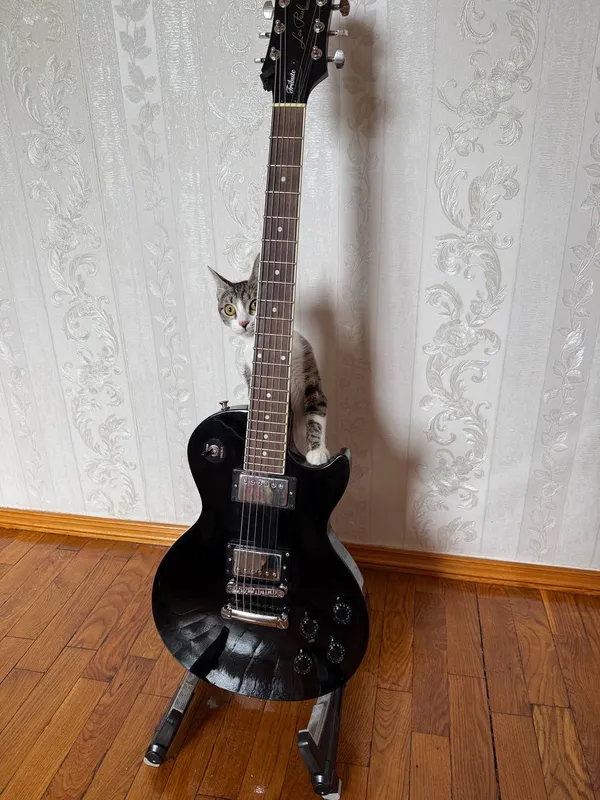 Epiphone Les Paul Tribute Электрогитара