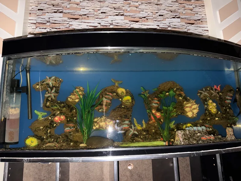 AKVARIUM 6