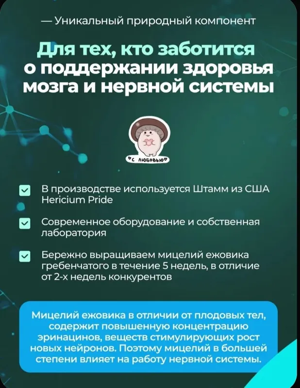 Ежовик гребенчатый мицелий / Lions mane 100гр - 100 порций от MYCOFARM — фото 2