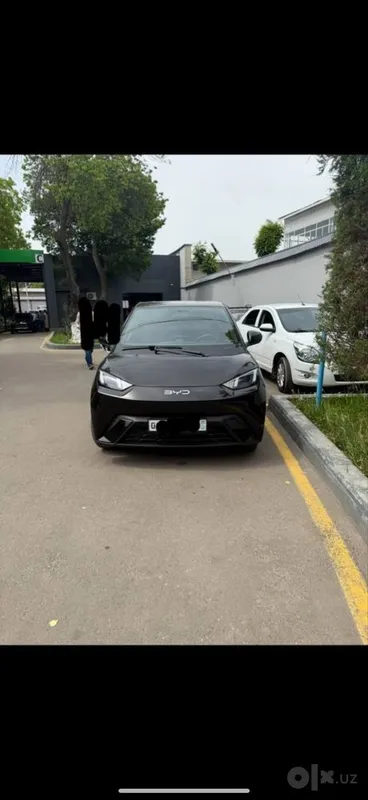 Byd sygyl kraska toza Byd sygyl kraska toza