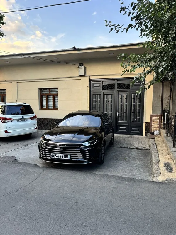 Byd chazor 55 taliy kraska tozza 1 Byd chazor 55 taliy kraska tozza 1