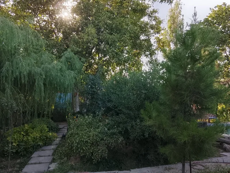 СРОЧНО!!!Продаётся дом (дача), Пскентский район — фото 3