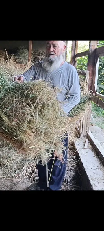 100 банд беда сотилади — фото 3