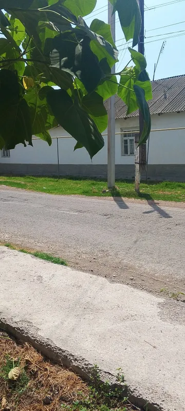 Оккургонда уй сотелад 22 сутек 4 хона 3 Оккургонда уй сотелад 22 сутек 4 хона 3