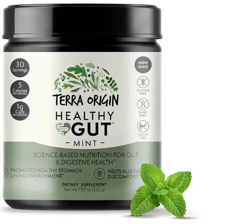 Terra Origin, HEALTHY GUT Gastrointestinal Supplement, Mint 222g