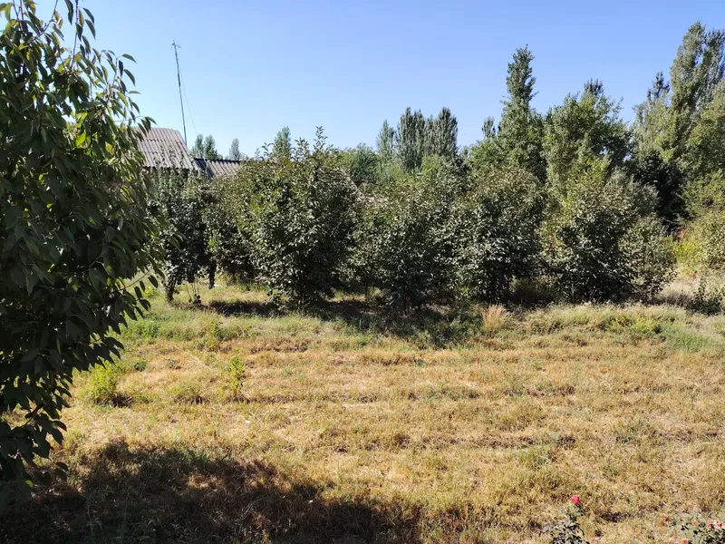Yer sotildi uyimizni yarimi 10 sotig sotigi 10 ming kelishildi — фото 2 Yer sotildi uyimizni yarimi 10 sotig sotigi 10 ming kelishildi — фото 2