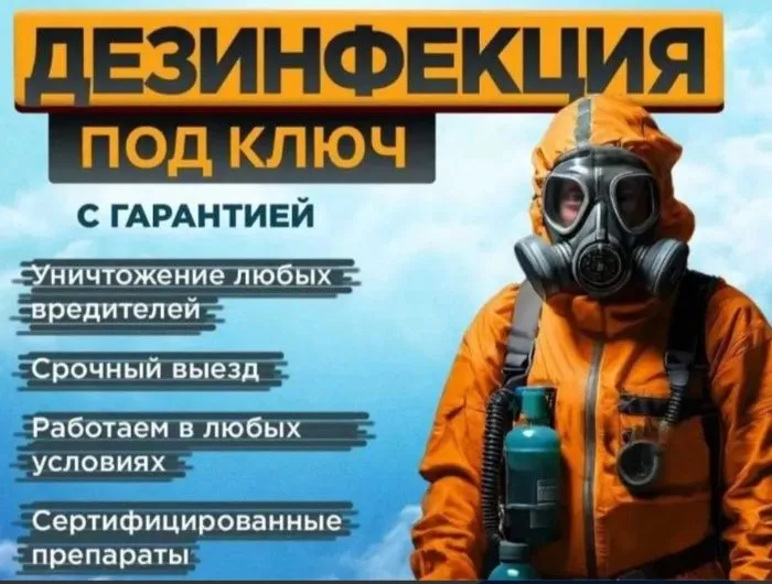 Дезинфекция тараканов и клопов