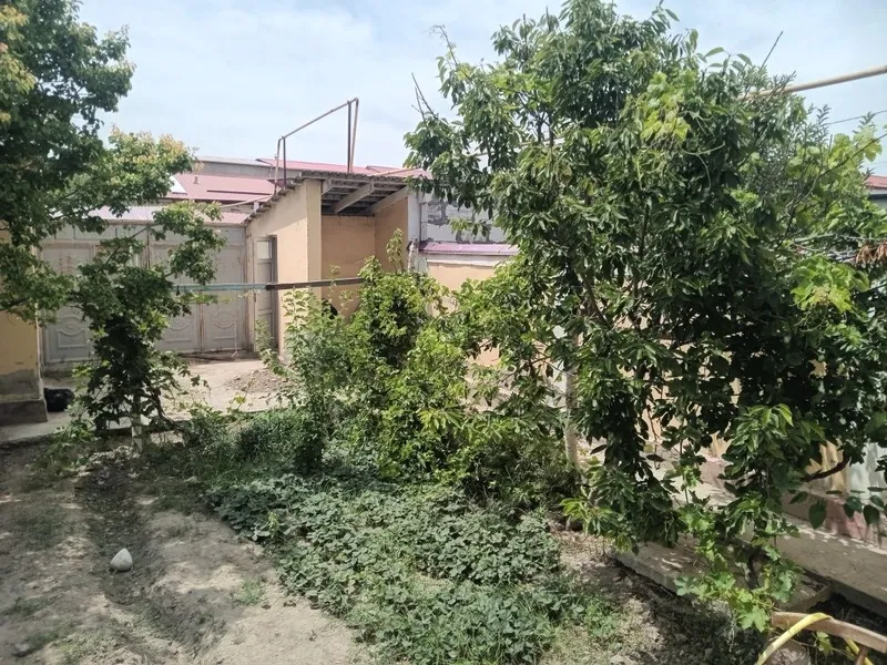 Jondor tuman markazida 2 sotixli katej sotiladi — фото 7