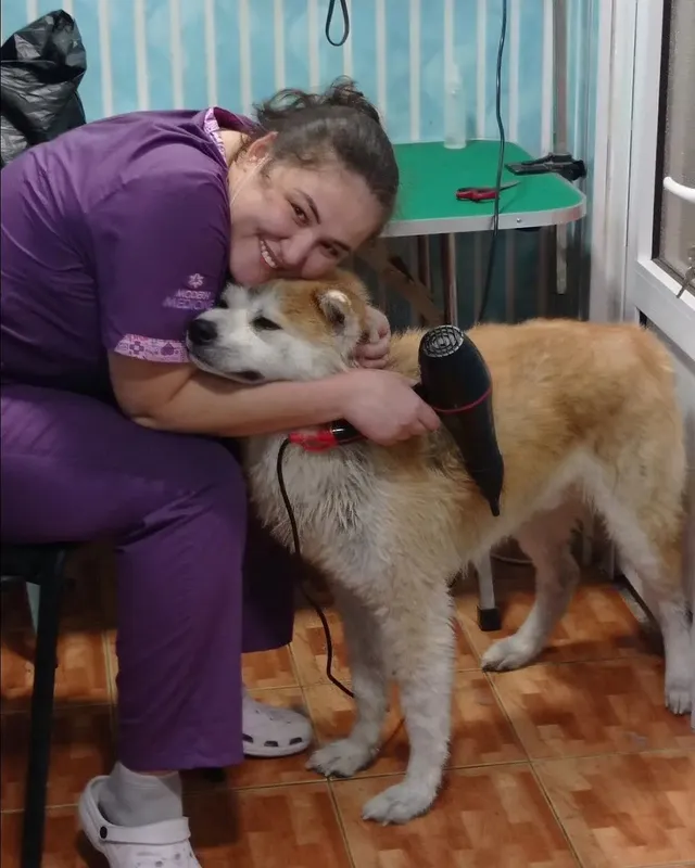 Стрижка, вычес, купка и выгул животных с выездом. — фото 4