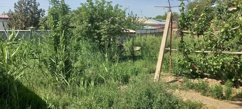 От шөп орып алыуға, бесплатно,