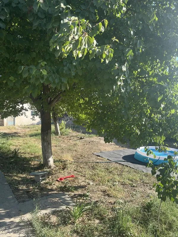 Дача Общество Восход Навоийская область Карманинский район 7 Дача Общество Восход Навоийская область Карманинский район 7