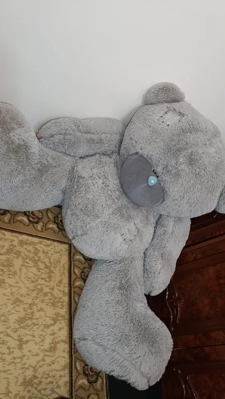 Teddy 2