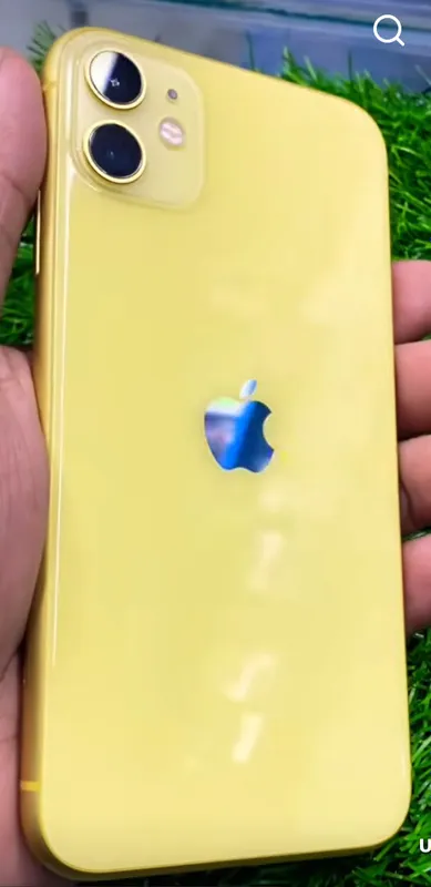 Iphone 11 Iphone 11