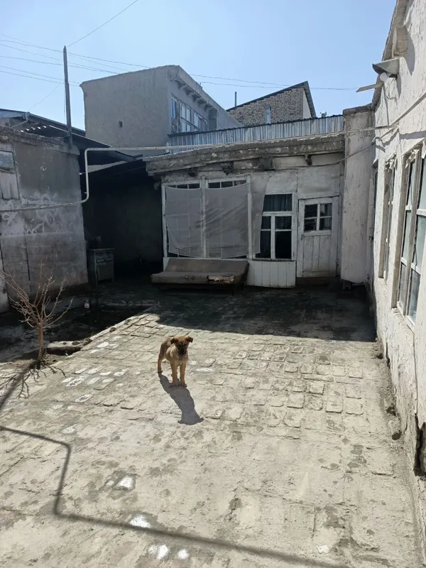 Ховлича сотилади — фото 5