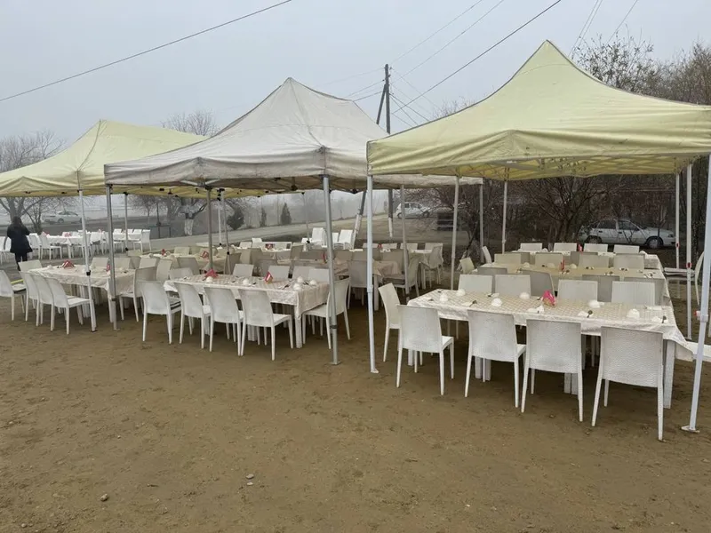Прокат Палатка столь стуль