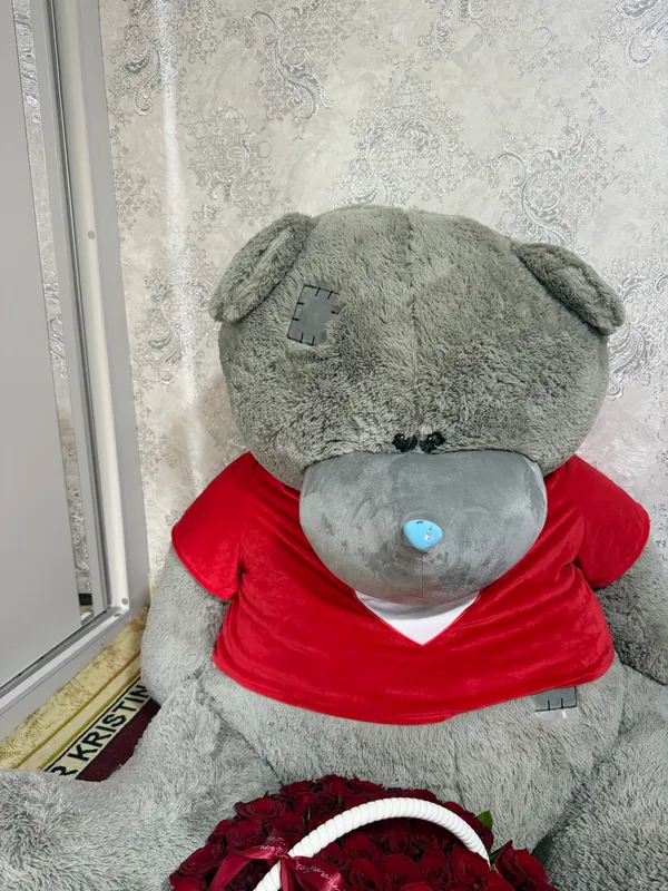 Teddy. 300$ yangi hayit kuni olingan