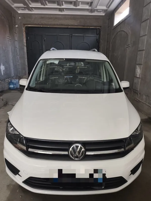 Wollsfagen Caddy 1