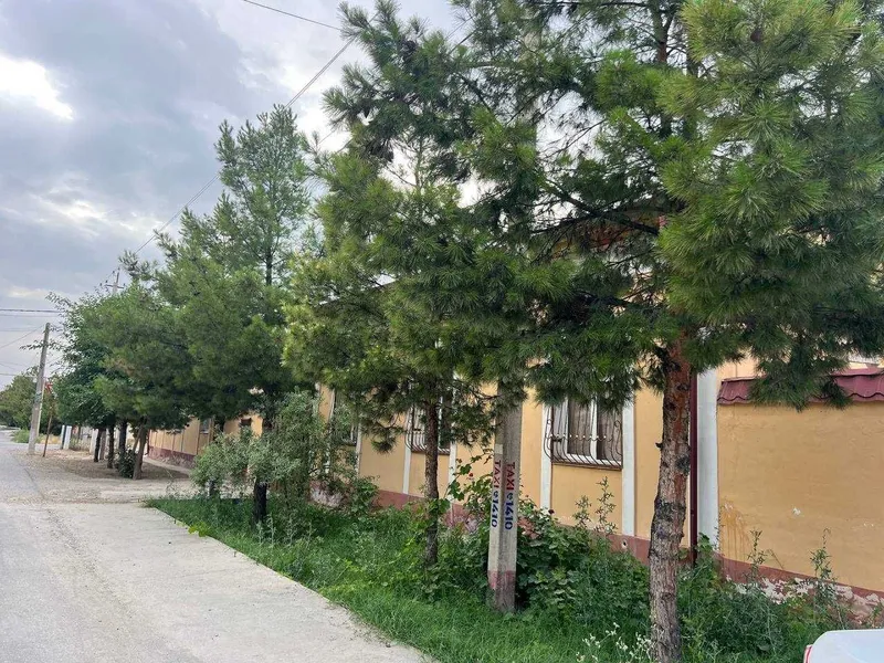 Продается котедж 4 комнаты, 6 сот | Коттедж 6 сотих 4 хона 2 Продается котедж 4 комнаты, 6 сот | Коттедж 6 сотих 4 хона 2