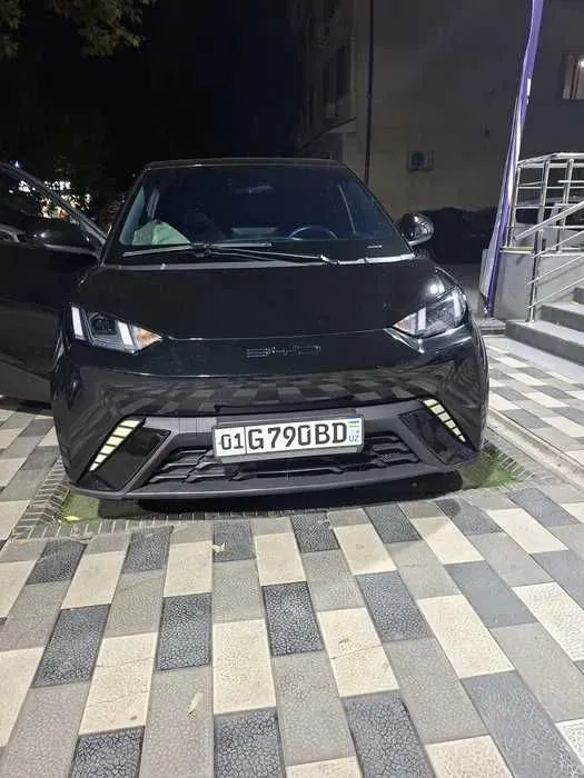 seagull byd naxt rasrochka seagull byd naxt rasrochka
