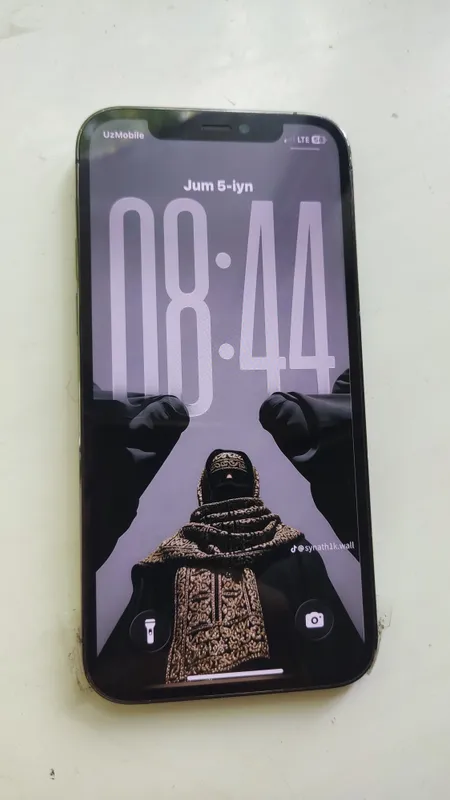 iphone 12 pro 256