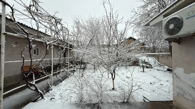 Шошилинч Участка сотилади Samarkand darvoza, Shayxontohur tumani 3.68 — фото 6