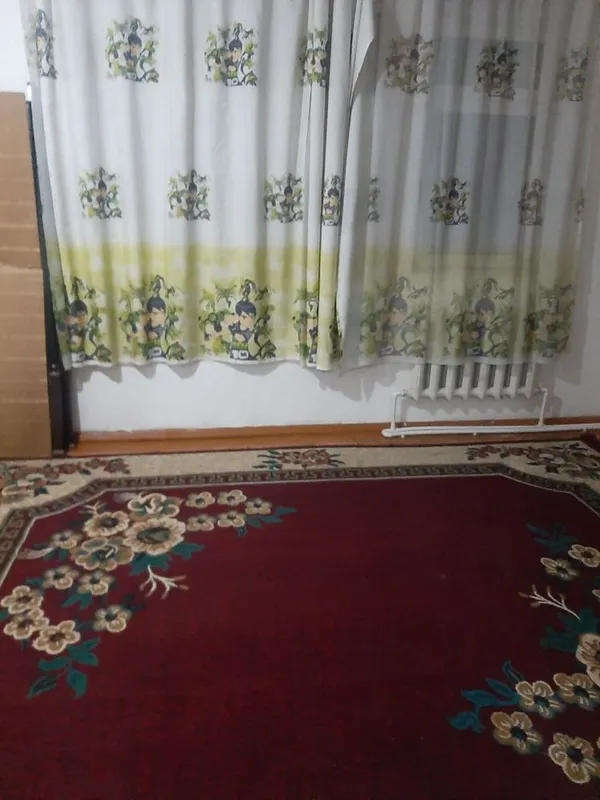 Ттз. 1. Диадора. — фото 3