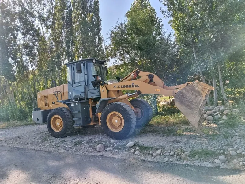 Pogruzchik sotiladi Lonking LG833N