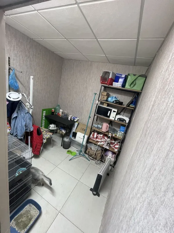 Сдаётся в аренду 3 ком 60 кв куйлук 1 масив канечка овтобуса 3 Сдаётся в аренду 3 ком 60 кв куйлук 1 масив канечка овтобуса 3