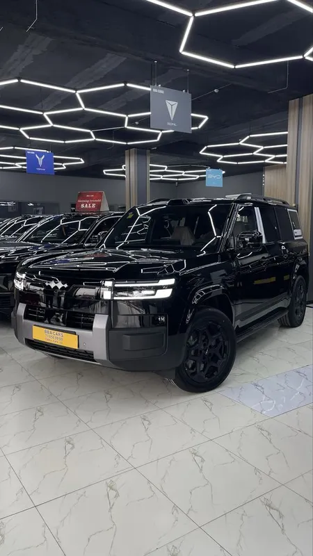 BYD leopard 7 ultra Полностью готов + гарантия 2025 модель рестайлинг 1 BYD leopard 7 ultra Полностью готов + гарантия 2025 модель рестайлинг 1