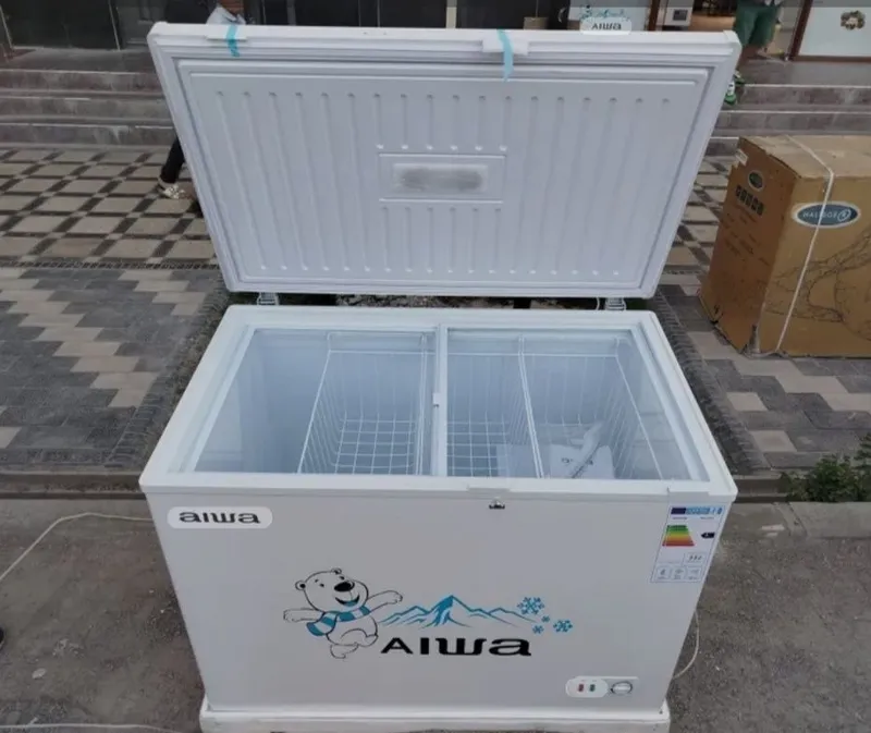 Marazilnik AIWA BD 308