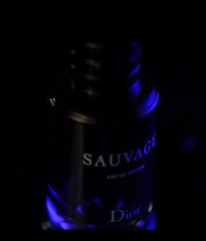 Sauvage erkaklar uchun parfyumlangan suvi, hajmi 100 ml Sauvage-bu e — фото 2