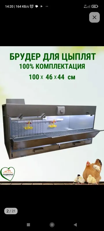 Браудер для цыплят